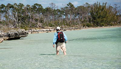 big_070224-Bahamas-Abaco-Julern-shoreline-AF.html