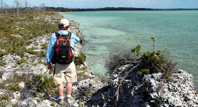 en_big_070224-Bahamas-Abaco-Julern-shoreline2-AF.html