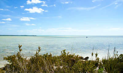 en_big_070224-Bahamas-Abaco-flats-fly-AF.html