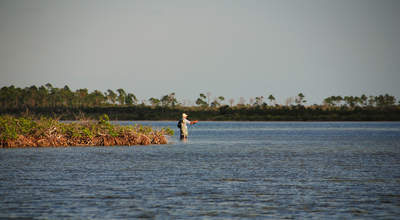 bonefish