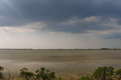 cloudy