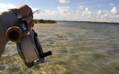en_big_071112-Abaco-Purka-kanal3.html
