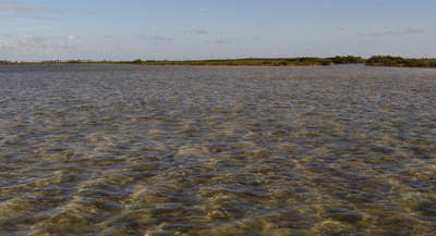 en_big_071112-Abaco-Purka-kanal5.html