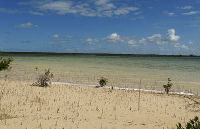 en_big_071112-Abaco-Purka-stoloya.html