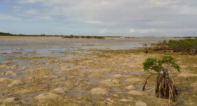en_big_071113-Abaco-Purka-kanalen.html