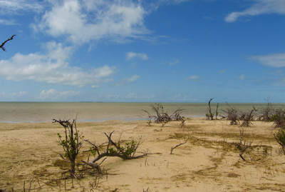 en_big_071113-Abaco-Purka-stoloya.html