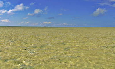 en_big_071113-Abaco-Purka-stoloya2.html