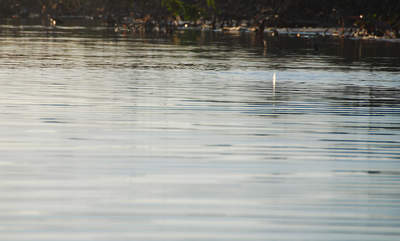 en_big_071115-Abaco-dumpa-tailing3.html