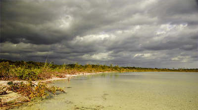 en_big_071116-Abaco-dumpa-shoreline.html