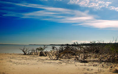 en_big_071201-Abaco-dumpa-skies.html