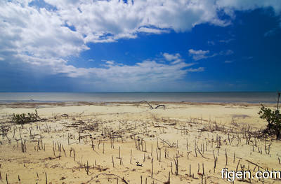 big_080216-bahamas-abaco-Purka-cloudy3.html