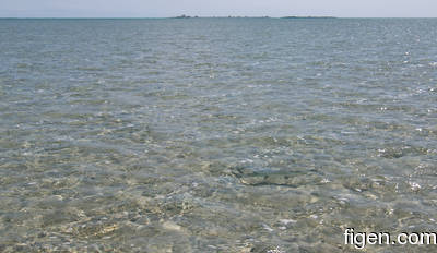 big_080216-bahamas-abaco-Purka-fishon2.html