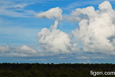 big_080217-bahamas-abaco-Purka-cloud.html
