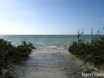 big_080218-bahamas-abaco-Dumpa-tide.html