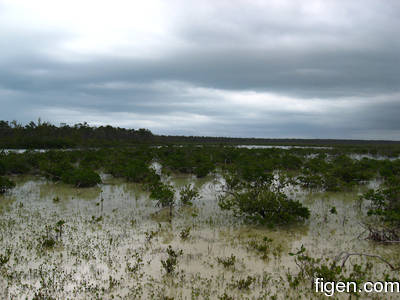 big_080219-bahamas-abaco-purka-bay.html