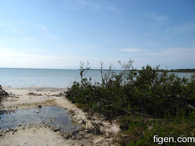 big_080220-bahamas-abaco-dumpa-tide.html