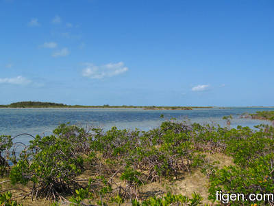 big_080221-bahamas-abaco-purka-channel.html