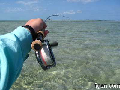big_080221-bahamas-abaco-purka-channel4.html