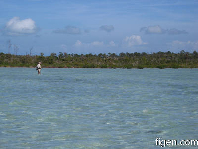 big_080222-bahamas-abaco-dumpa-Lars.html