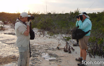 big_080223-bahamas-abaco-photo-whores-LJ.html