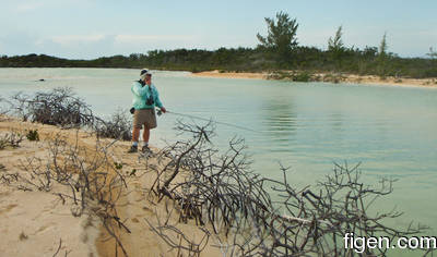en_big_080226-bahamas-abaco-ocean-cay-LJ.html