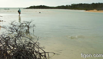 en_big_080226-bahamas-abaco-ocean-cay2-LJ.html
