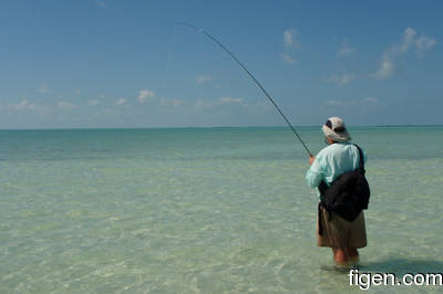 en_big_080226-bahamas-abaco-ocean-figen2-LJ.html