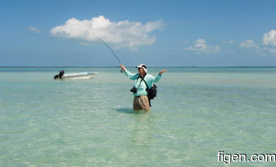 en_big_080226-bahamas-abaco-ocean-figen3-LJ.html