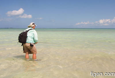 en_big_080226-bahamas-abaco-ocean-figen4-LJ.html