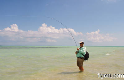 en_big_080226-bahamas-abaco-ocean-figen5-LJ.html