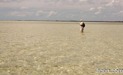 big_080301-bahamas-abaco-purka-dariusz2.html