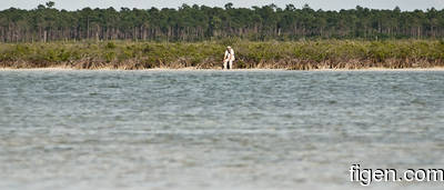 big_080301-bahamas-abaco-purka-mangrove.html