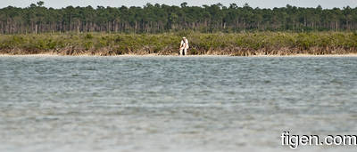 en_big_080301-bahamas-abaco-purka-mangrove.html