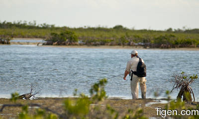 en_big_080301-bahamas-abaco-purka-tailers.html