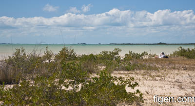 big_080302-bahamas-abaco-figen-DB.html