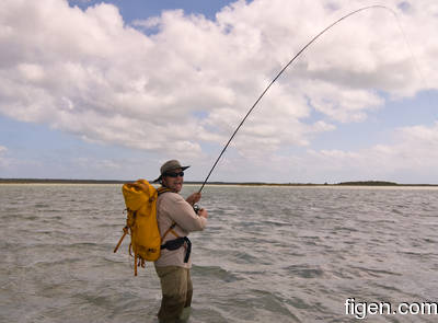 en_big_080303-bahamas-abaco-purka-KnutJohan.html