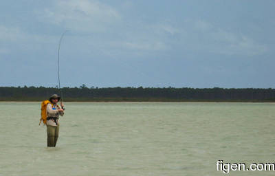 big_080303-bahamas-abaco-purka-KnutJohan6.html