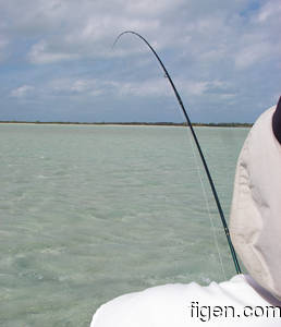 big_080303-bahamas-abaco-purka-figen2-SR.html