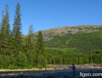 big_080727-Nordland-fjell.html