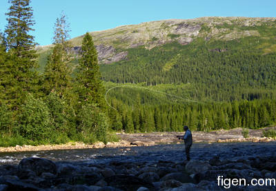 big_080727-Nordland-fjell2.html