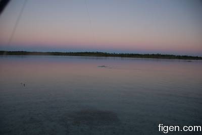 big_081128-bahamas-abaco-dumpa-fish-on2.html