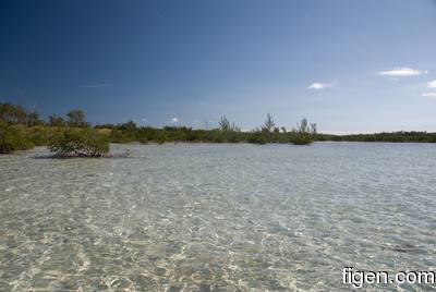 big_081129-bahamas-abaco-flat2.html