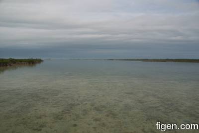 en_big_081201-bahamas-abaco-gloom.html