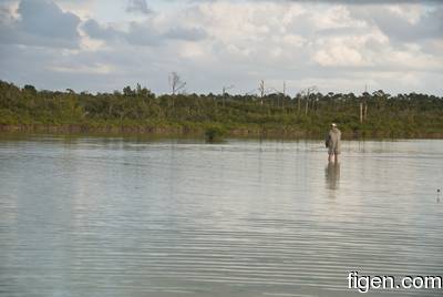big_081204-bahamas-abaco-frank-tail2.html