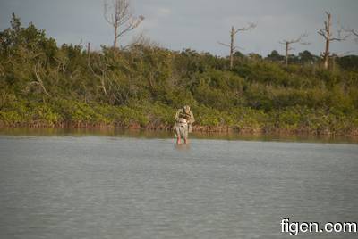 big_081204-bahamas-abaco-frank-tail4.html