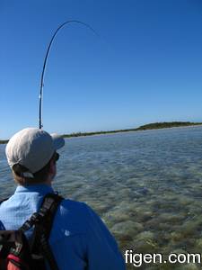 big_090128-bahamas-abaco-julern-fisk.html