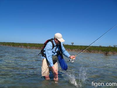 big_090128-bahamas-abaco-julern-fisk3.html