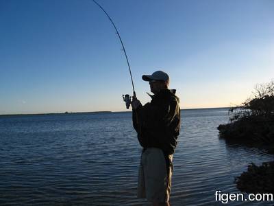 en_big_090204-bahamas-abaco-spinner.html