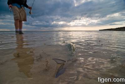 big_090207-bahamas-abaco-julern-bone2.html