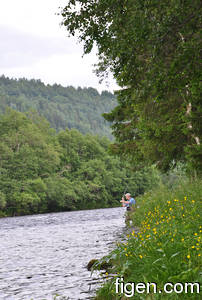 big_090701-Orkla-Rennebu-Figen-kaster-CJ.html
